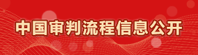 中国审判流程信息公开